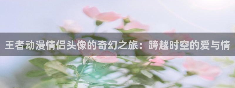 动漫天堂网站