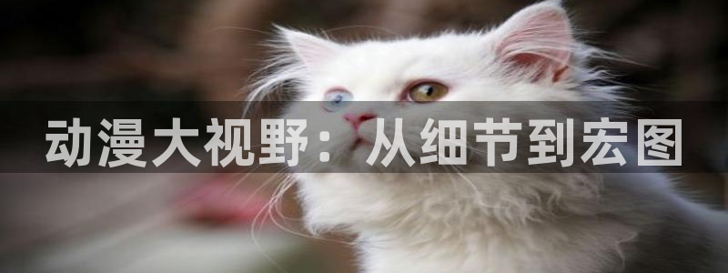 黄动漫天堂