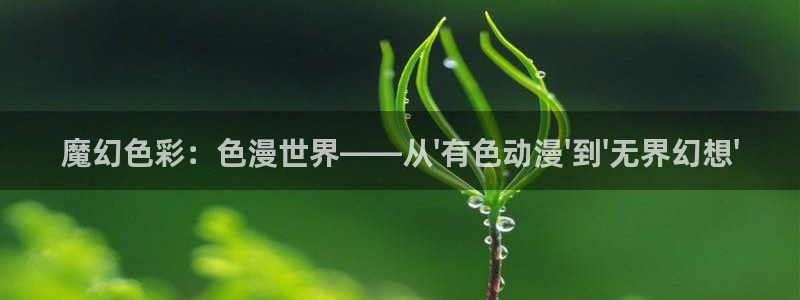 禁动漫天堂