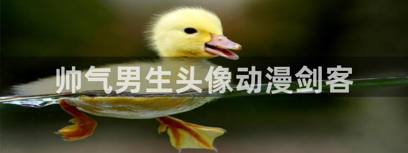 cos动漫天堂官网下载
