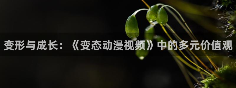 动漫天堂官网
