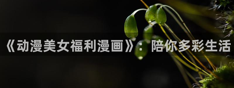18动漫天堂