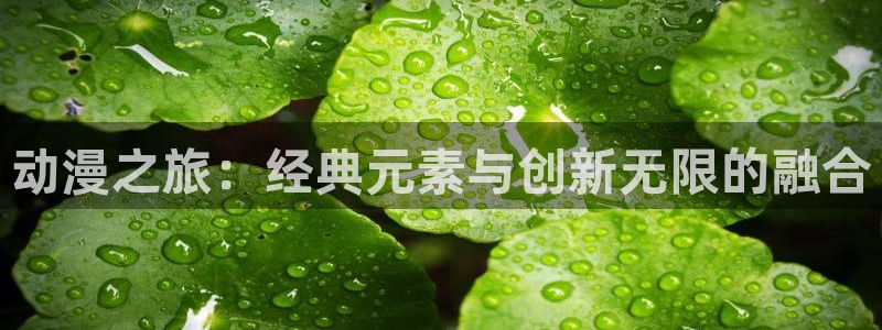 成人动漫天堂av