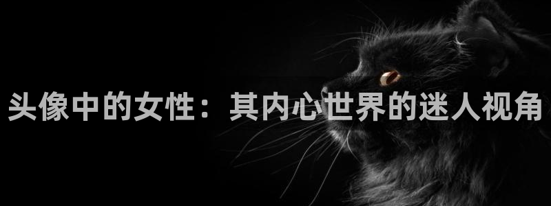 番剧推荐动漫天堂.