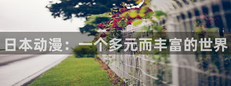 禁动漫天堂