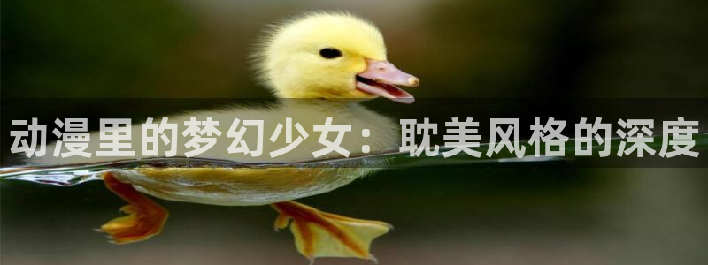 动漫天堂下载最新版
