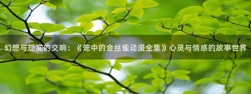 亚洲动漫天堂