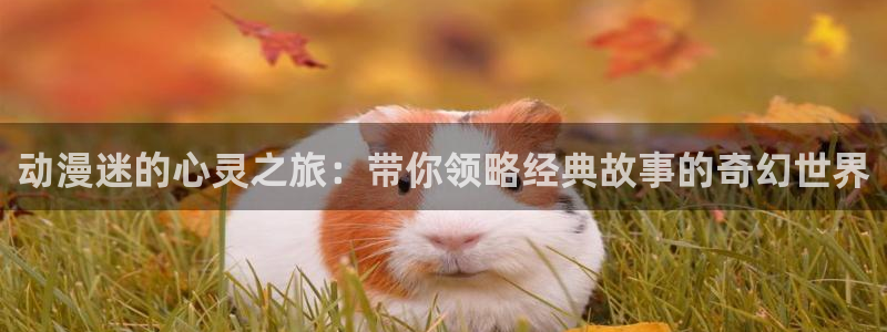 18禁动漫天堂