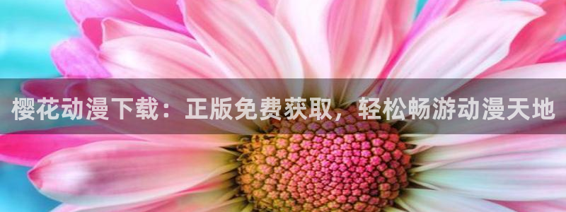 bt动漫天堂