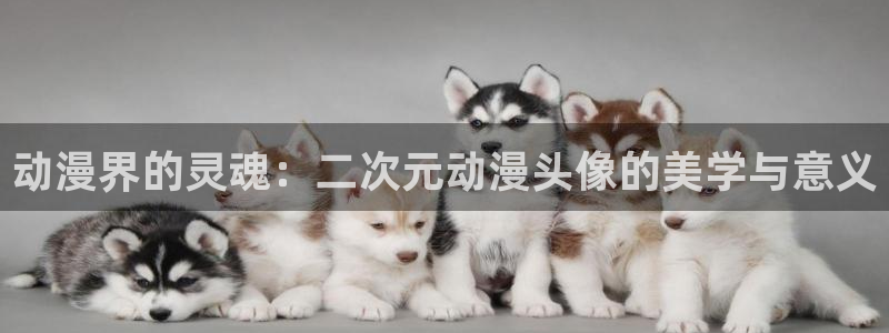 18动漫天堂