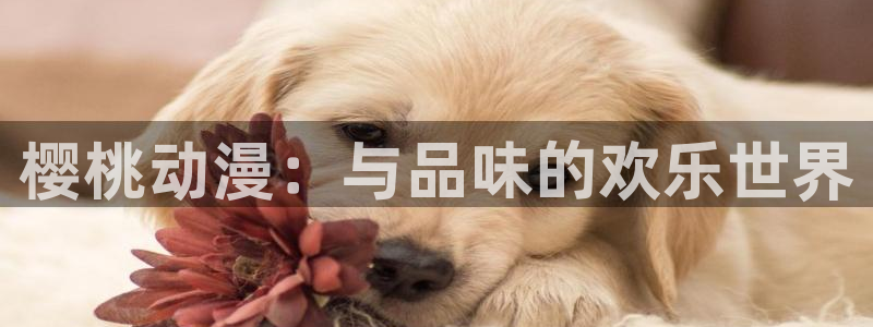 动漫天堂免费在线观看：樱桃动漫：与品味的欢乐世界